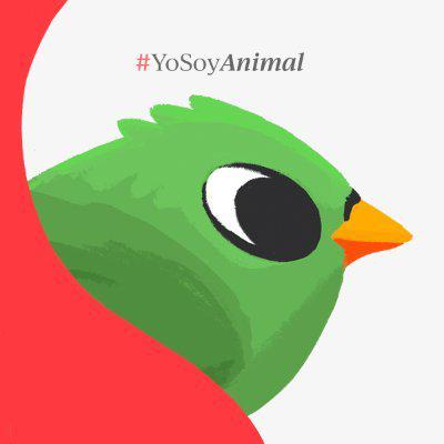 Animal Político - WhatsApp Channel