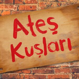 Ateş Kuşları - Channel Image