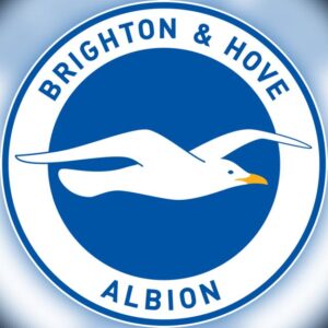 Brighton & Hove Albion - Channel Image 