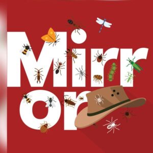 The Mirror – I’m a Celebrity… - Channel Image