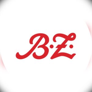 B.Z. - Channel Image