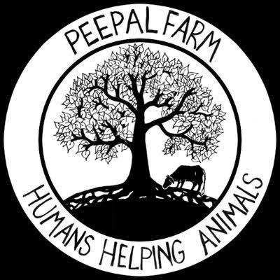 Peepal Farm - WhatsApp Channel