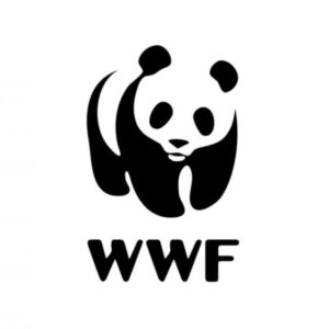 WWF España - Channel Image