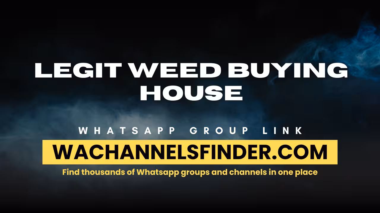 LEGIT WEED BUYING HOUSE - WhatsApp Channel