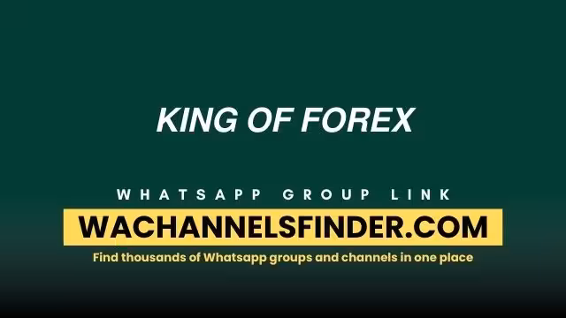 𝙆𝙄𝙉𝙂 𝙊𝙁 𝙁𝙊𝙍𝙀𝙓 - WhatsApp Channel