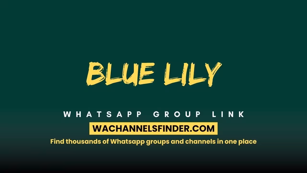 Blue Lily - WhatsApp Channel