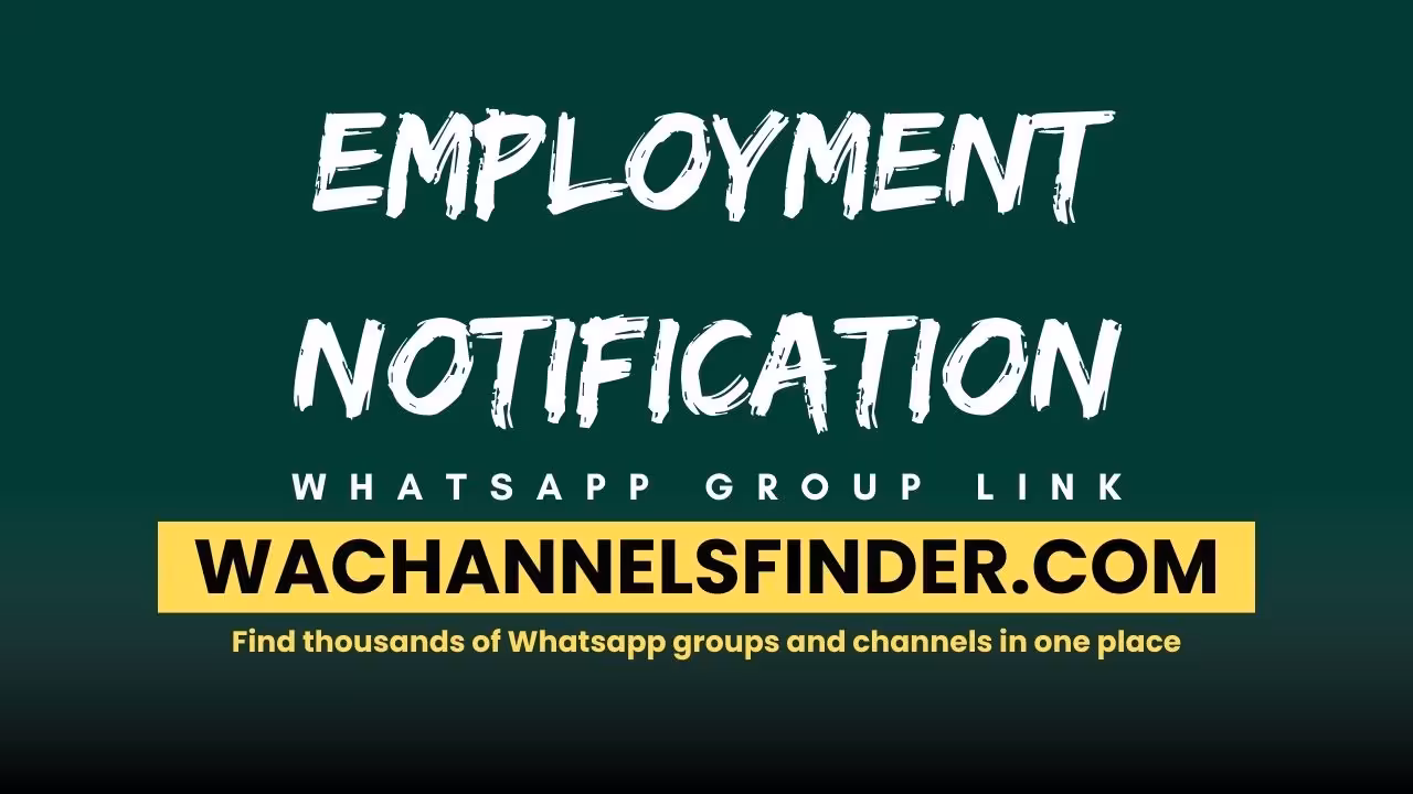 Employment notification - WhatsApp Channel