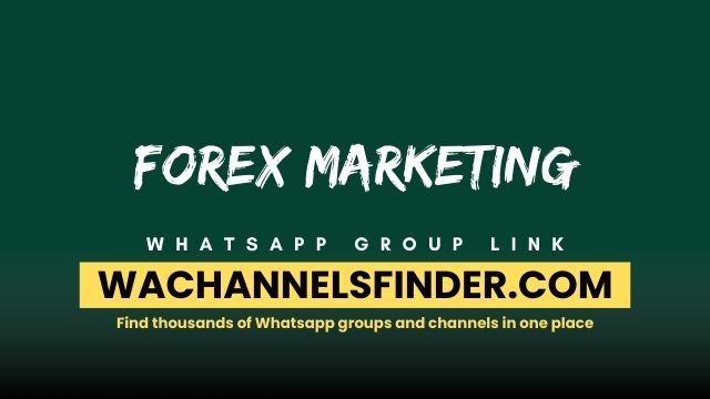 Forex marketing - WhatsApp Channel