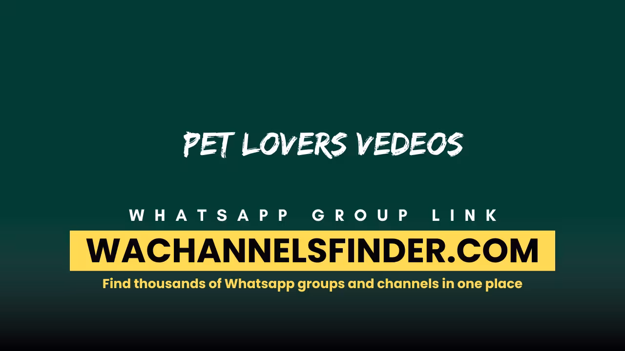 Pet Lovers Vedeos - WhatsApp Channel