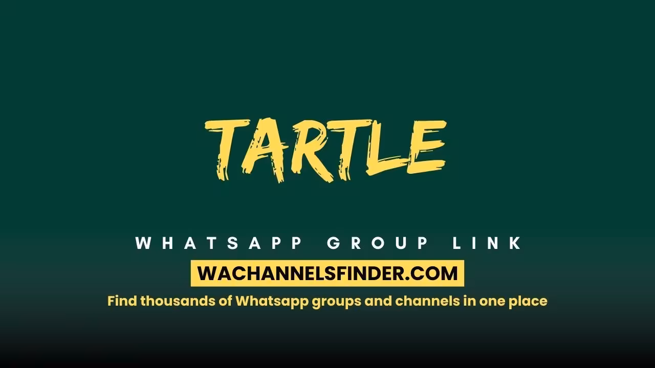 Tartle - WhatsApp Channel
