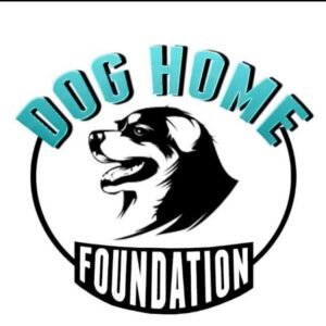 Dog Home Foundation - Channel Image 