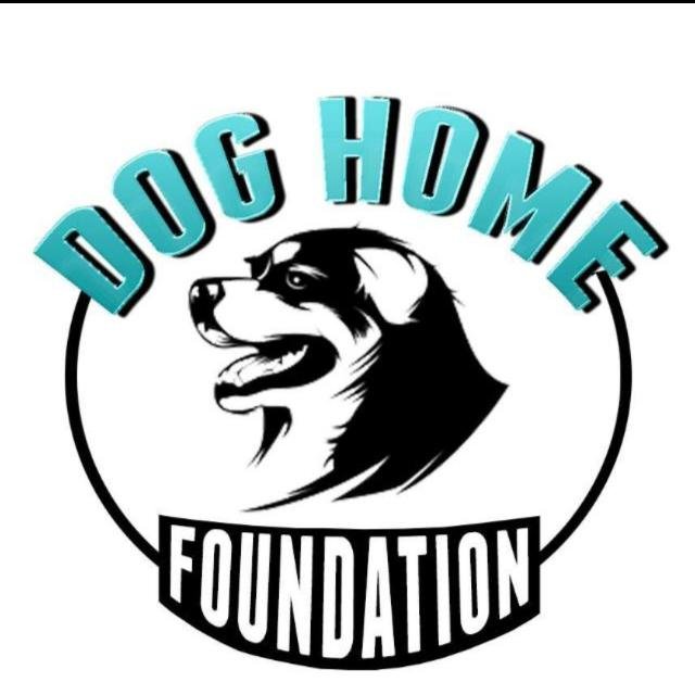 Dog Home Foundation - WhatsApp Channel