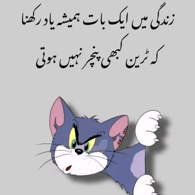 Latifey Comedy & WhatsApp Status, Tv & WhatsApp Channel 🤩 - WhatsApp Channel