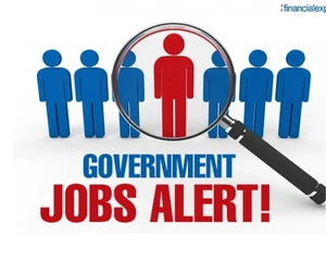 Government Job