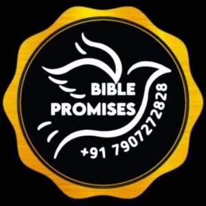 BIBLE PR㊉MISES