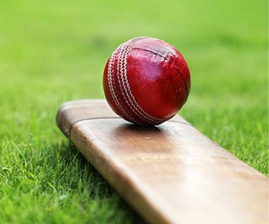 cricket