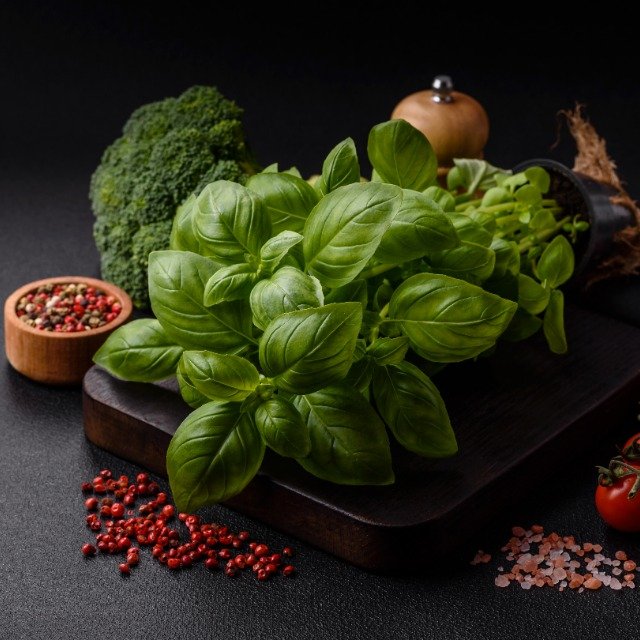 FIT FOR FUN | Veggie-Rezepte - vegetarisch kochen - WhatsApp Channel