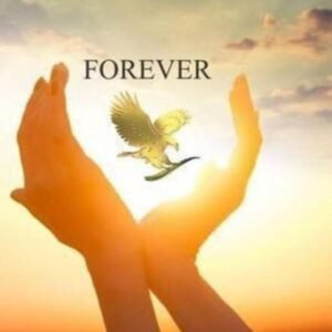 FOREVER LIVING PRODUCTS - Channel Image