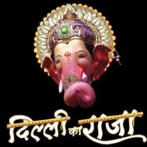 Delhi Ka Raja, Shri Gyatri Navyuvak Mandal(Regd.) - Channel Image