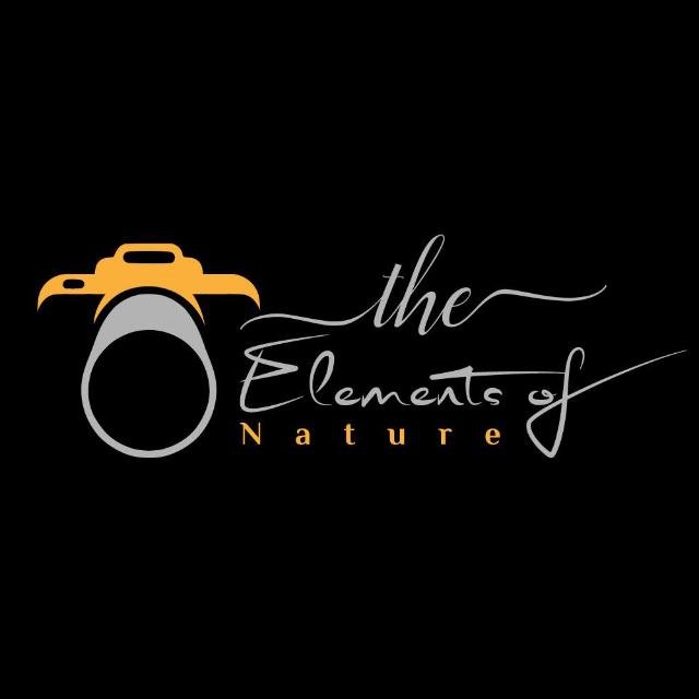 All predictions - WhatsApp Channel